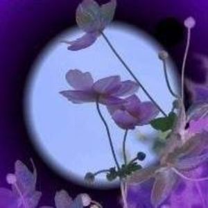 Meet your Posher, Laurie